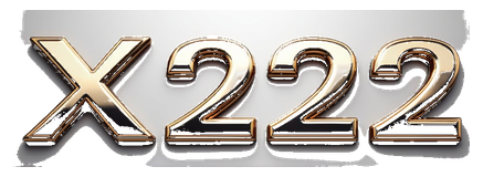 x222 logo